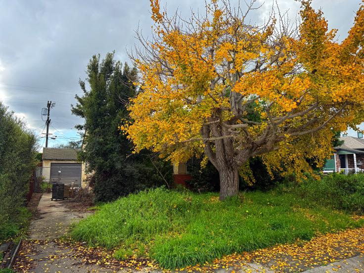 6456 West 87th Street