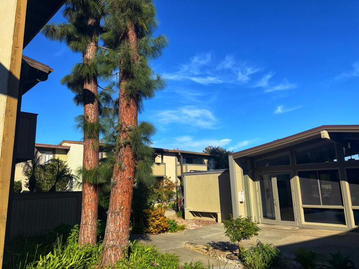 802 Coriander Drive #B