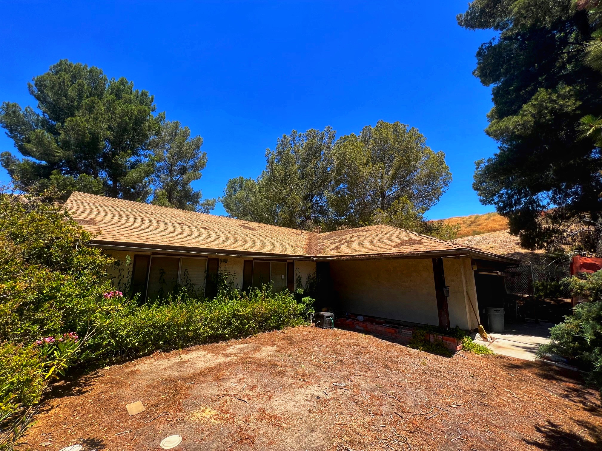 14803 Daisy Meadow Street