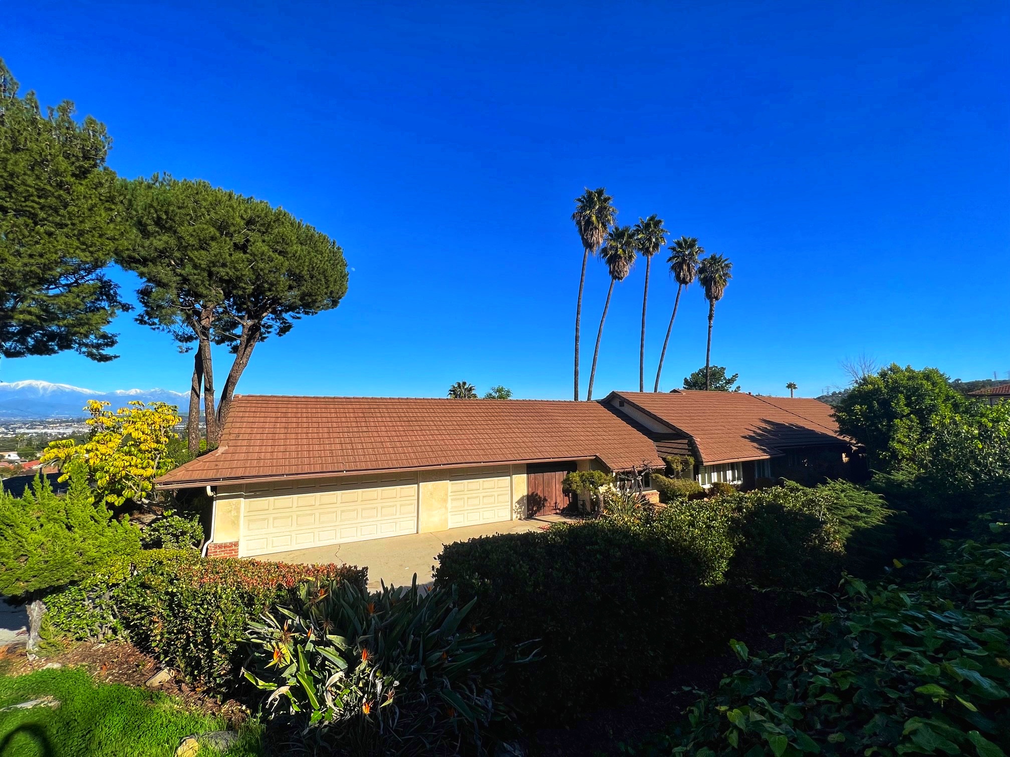 3056 Montellano Avenue