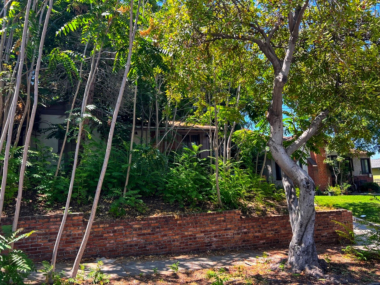 1506 East Windsor Road