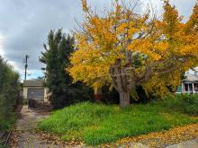 6456 West 87th Street