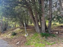 24862 Edelweiss Drive